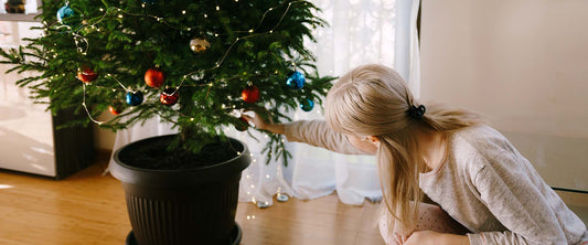 Pro-tips for enjoying a living Christmas tree for years to come.