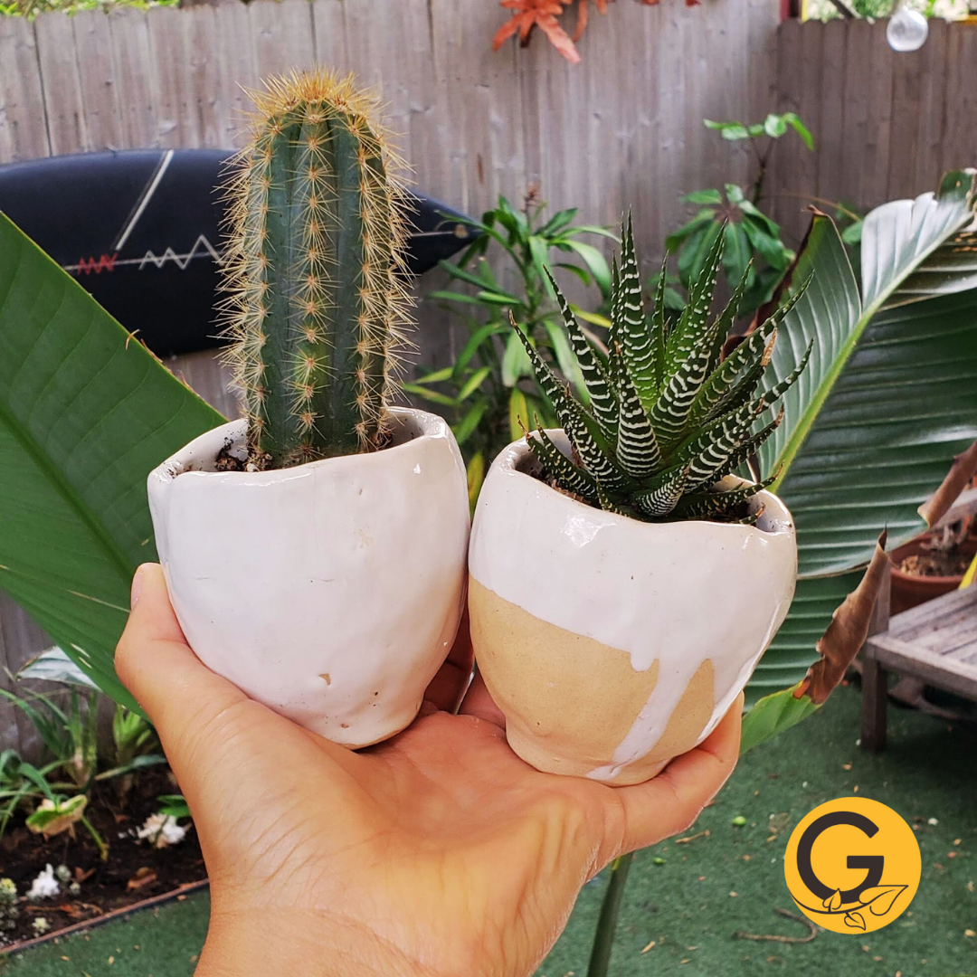 FOLIAGE FEST // Pinch Pot Creation, September 21