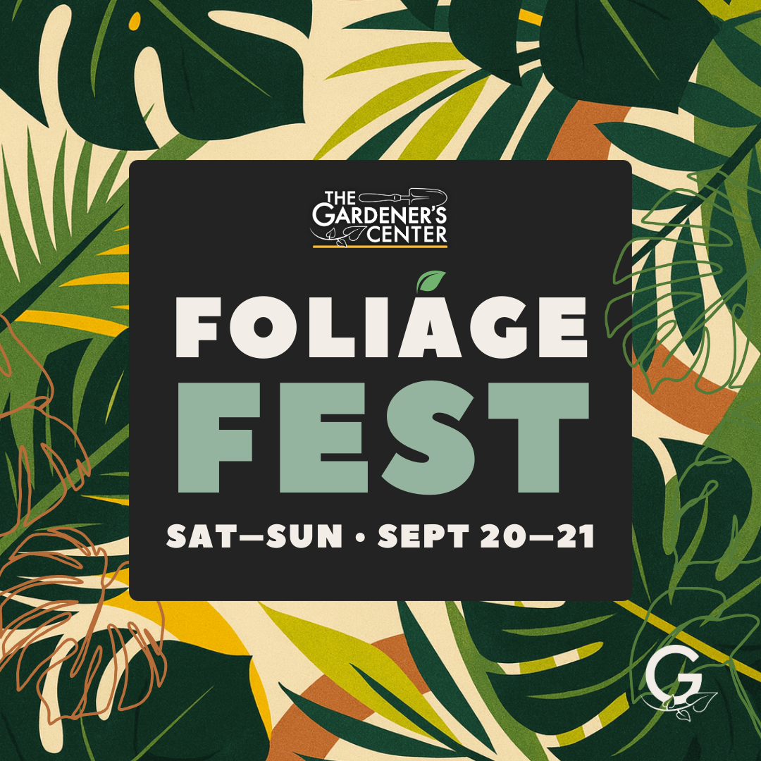 FREE EVENT // Foliage Fest, September 20-21