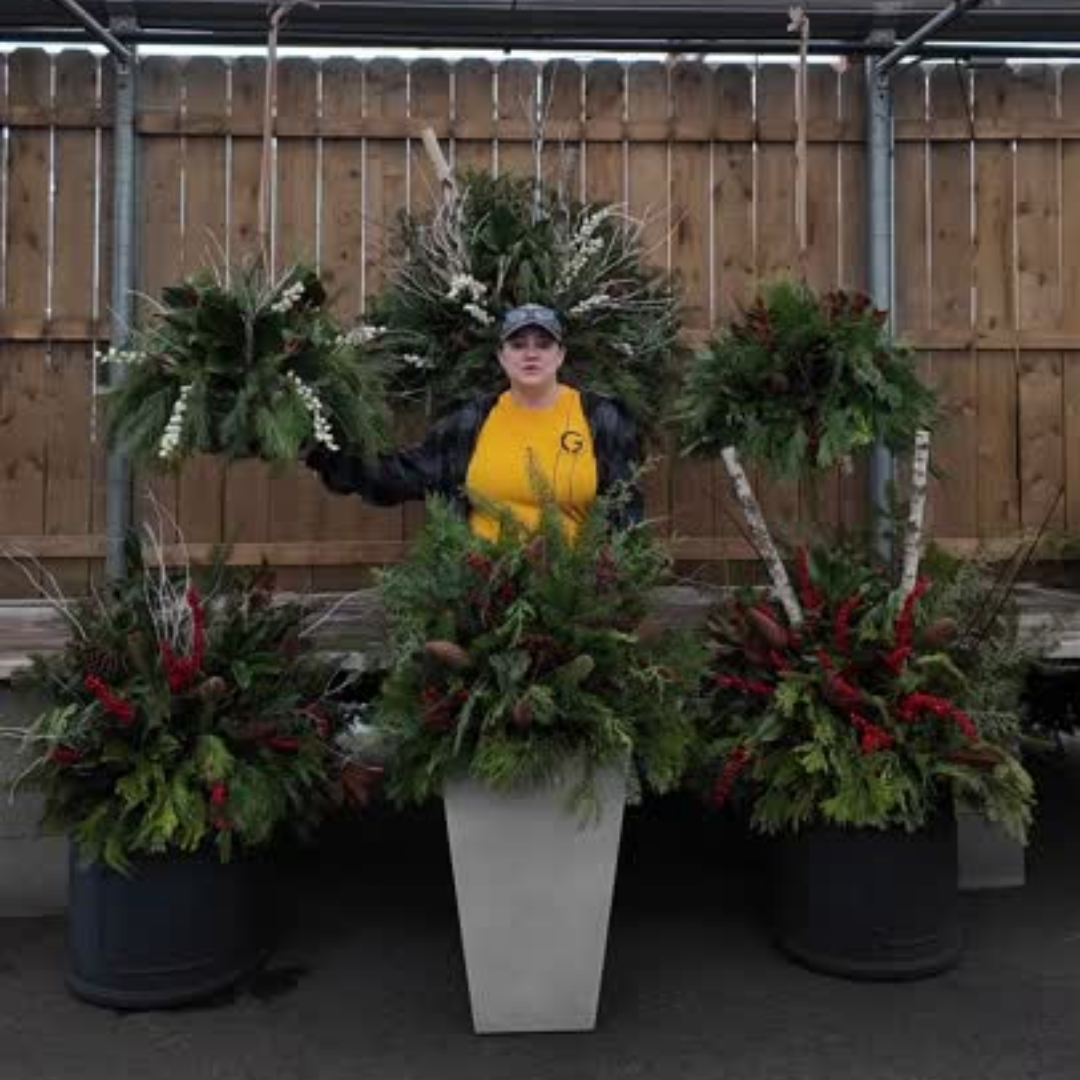 WHITE // Holiday Hanging Basket Drop-In