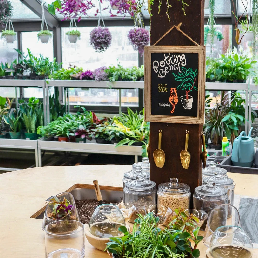 Re-Potting Workshop