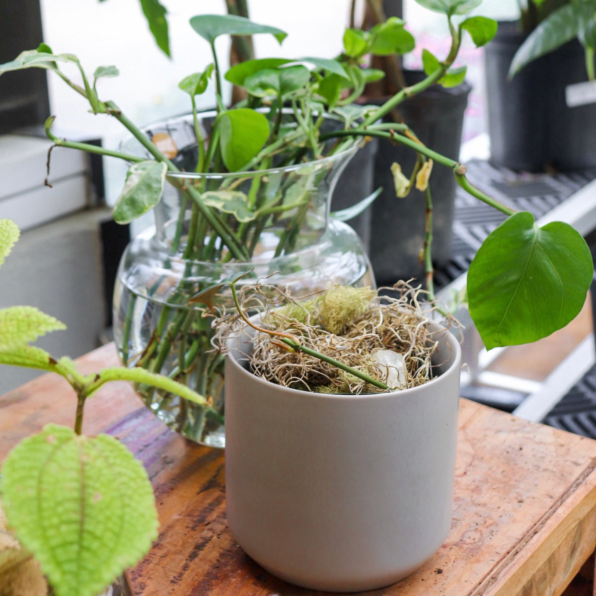 Propagation Bar