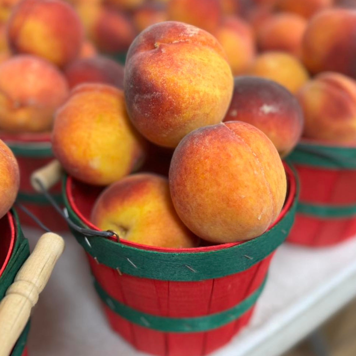 Pre-Order Southern Peaches  // EARLY JULY PICK UP