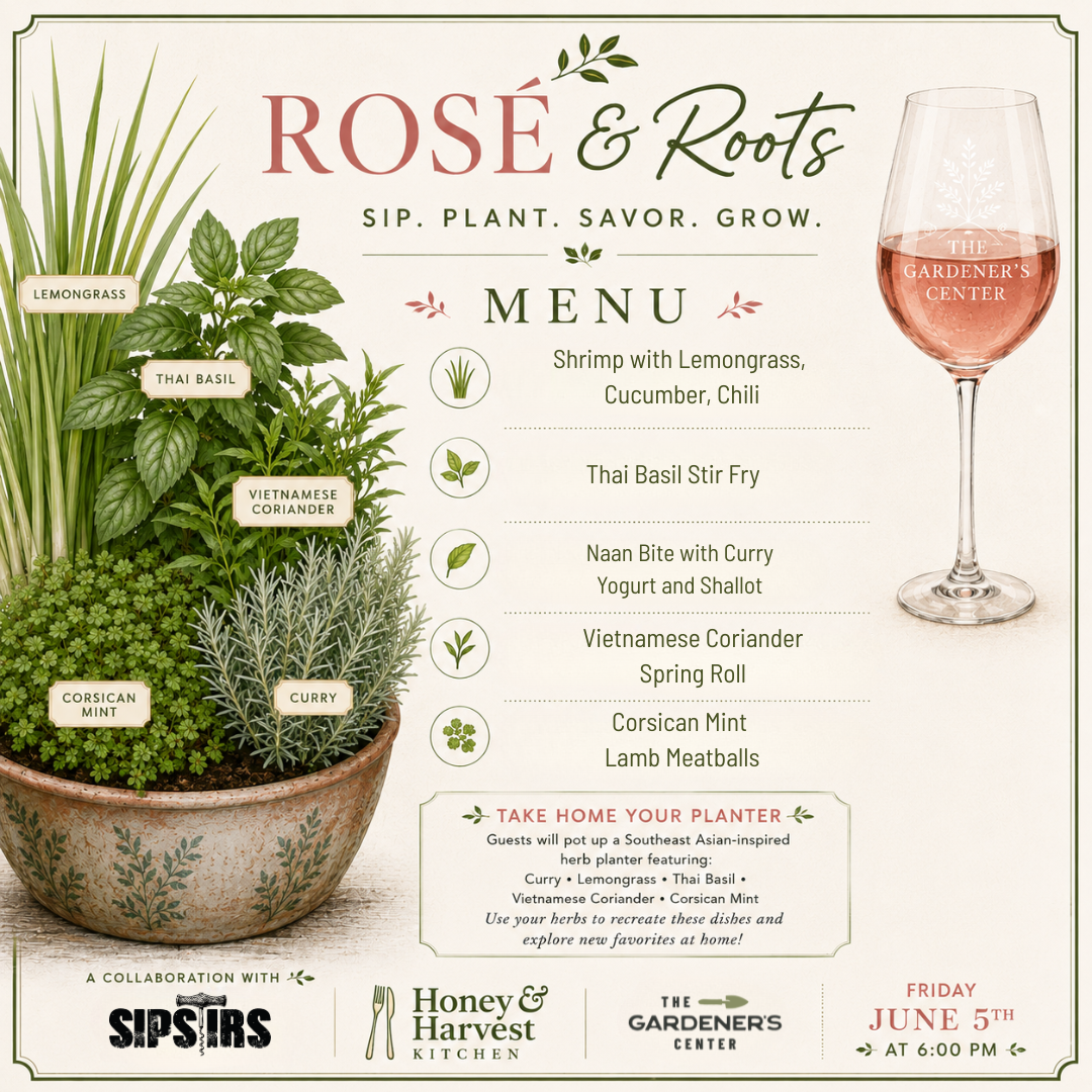 Rosé & Roots