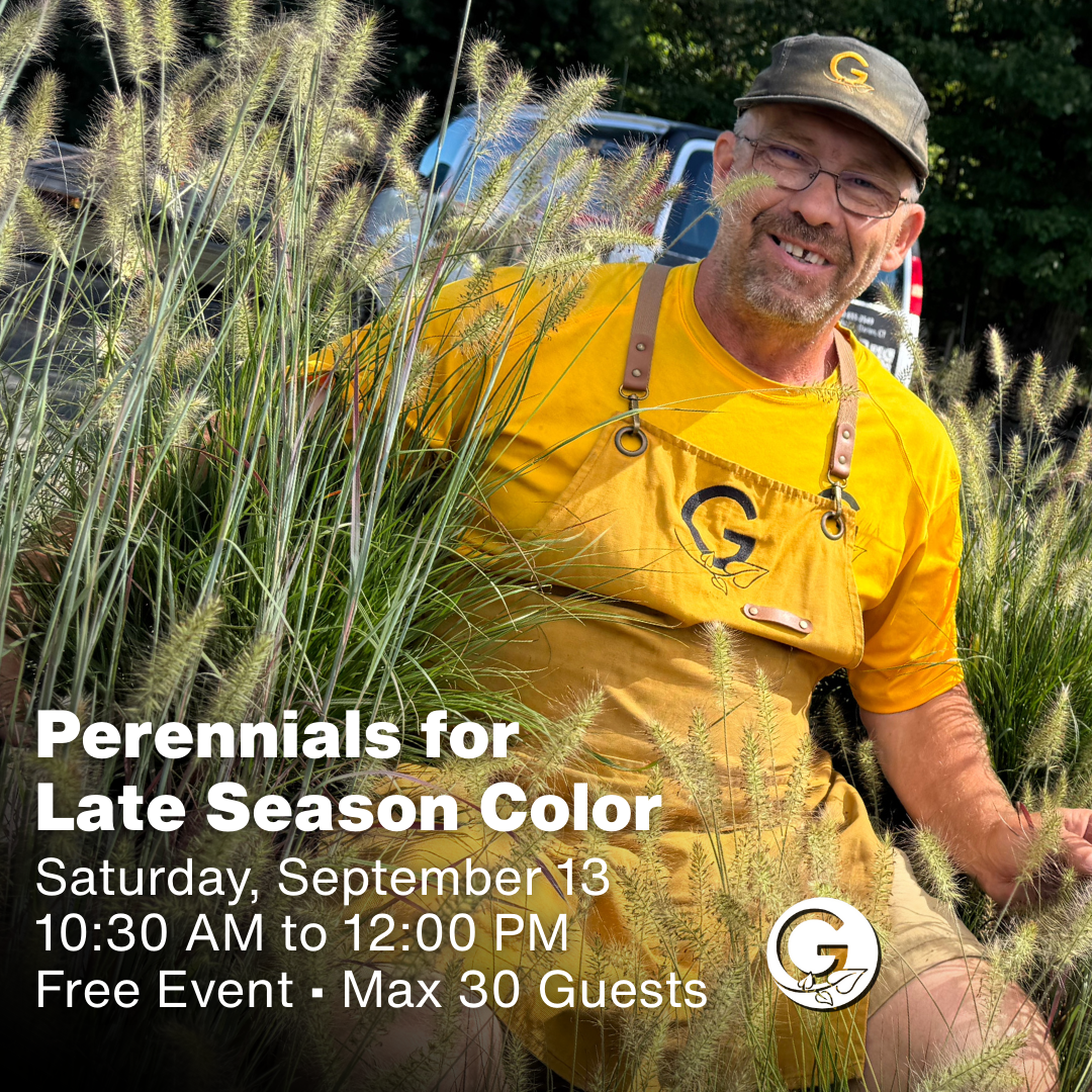 FREE SEMINAR // Perennials For Late Season Color, September 13