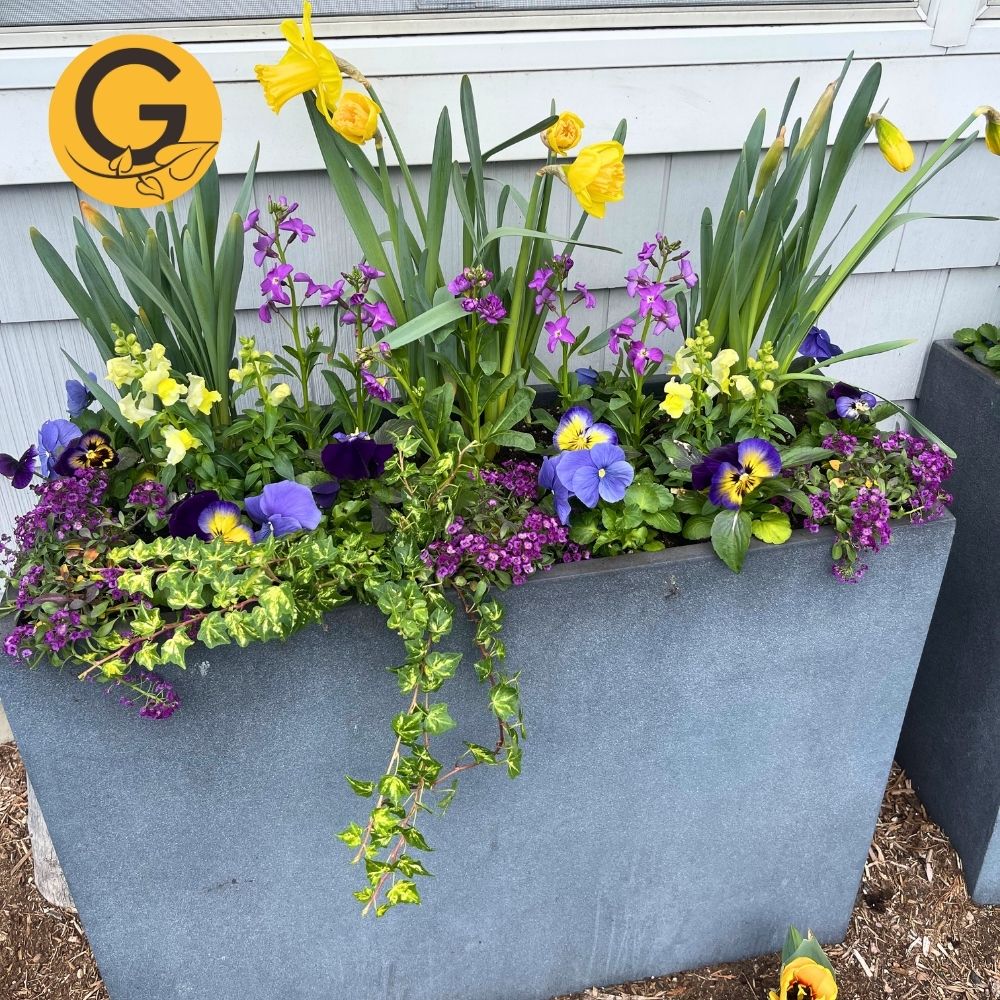 Seasonal Planter Service