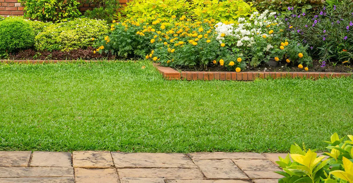 Lawn Care product recommendations