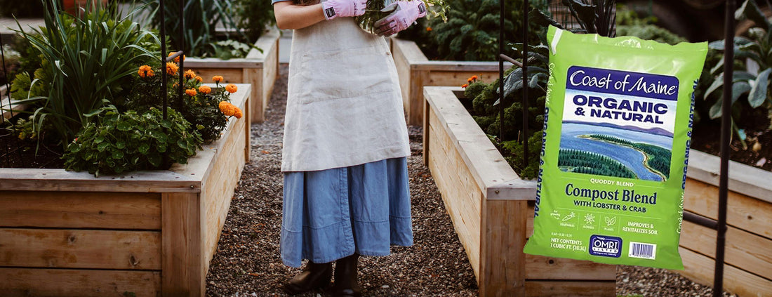It's Time to Prepare your Veggie Garden!