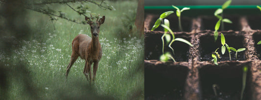 Let’s Talk About Preparing for the Upcoming Growing Season