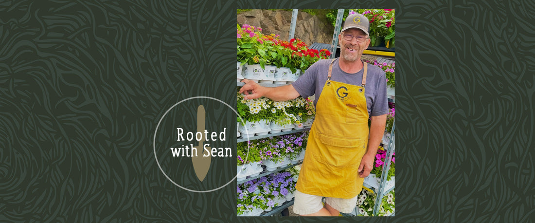 Rooted with Sean