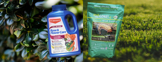 Let's Talk Lawns and Shrubs