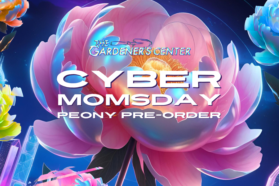 Cyber Momsday Peony Pre-Order