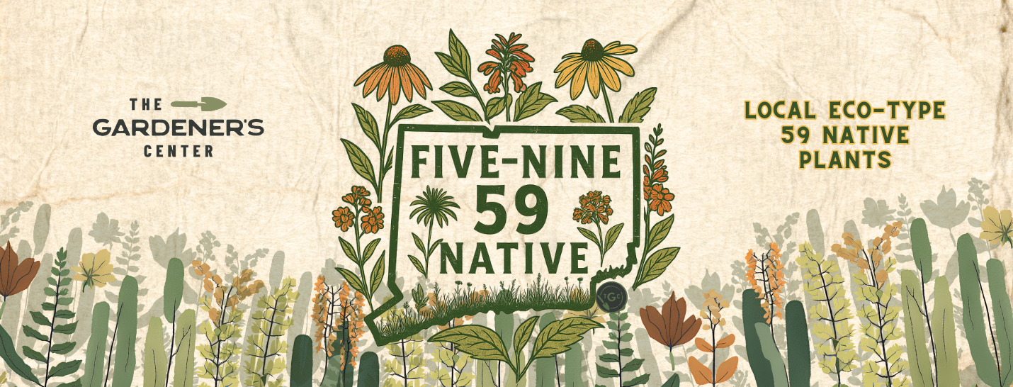 Five-Nine Native  2026