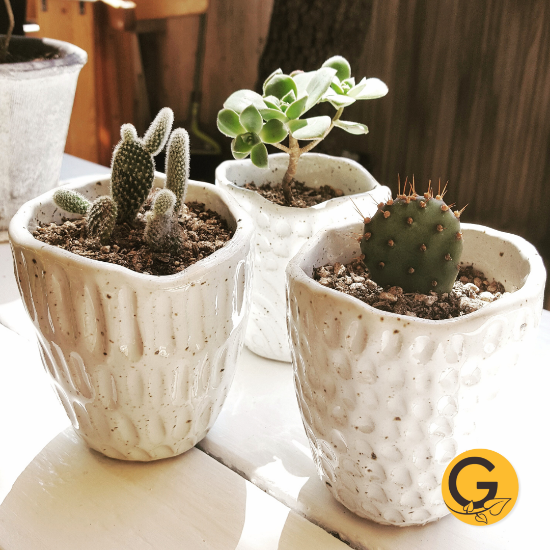 FOLIAGE FEST // Pinch Pot Creation, September 21