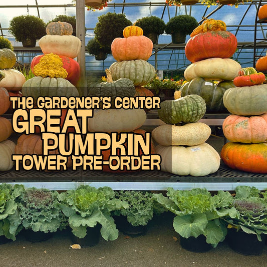 Fall Pumpkin Tower // Mixed Colors