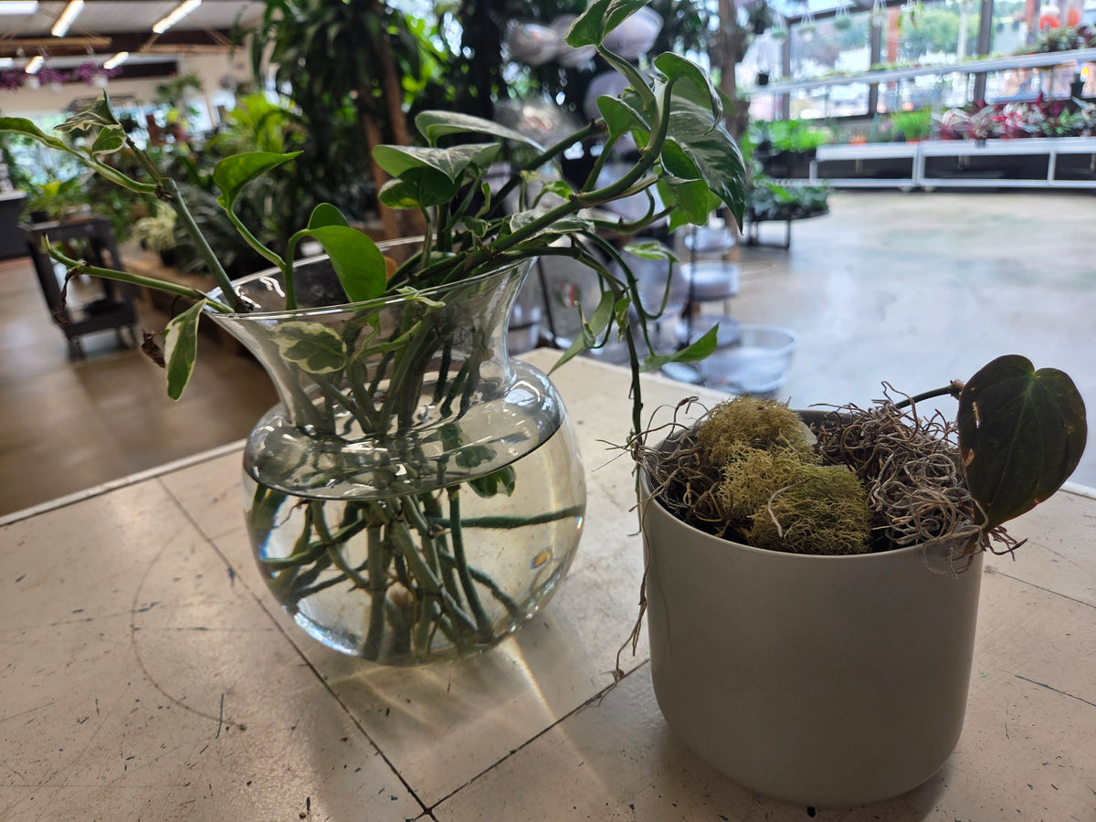 Propagation Bar
