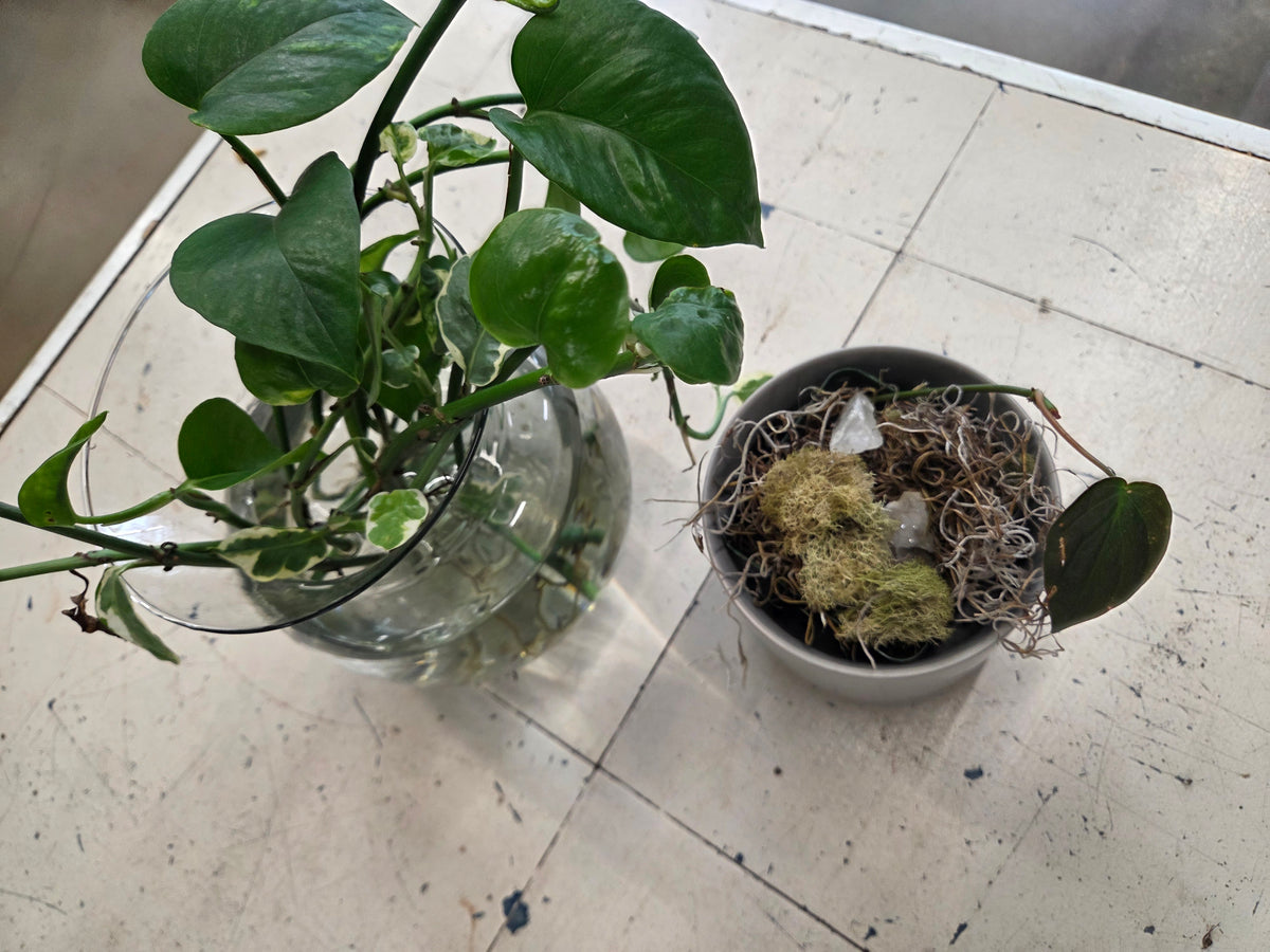 Propagation Bar