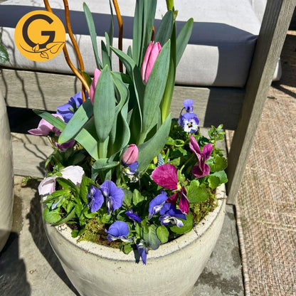 Seasonal Planter Service
