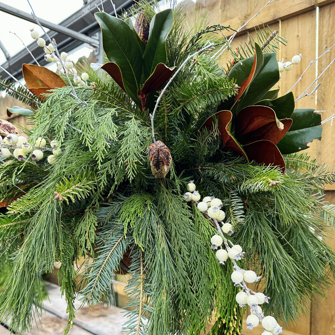 WHITE // Holiday Hanging Basket Drop-In