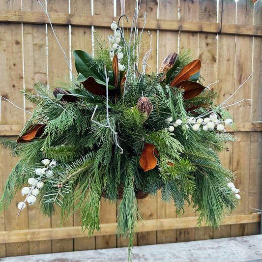 WHITE // Holiday Hanging Basket Drop-In