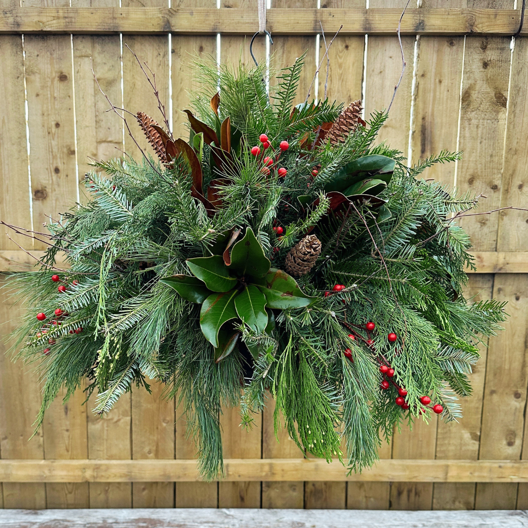 RED // Holiday Hanging Basket Drop-In