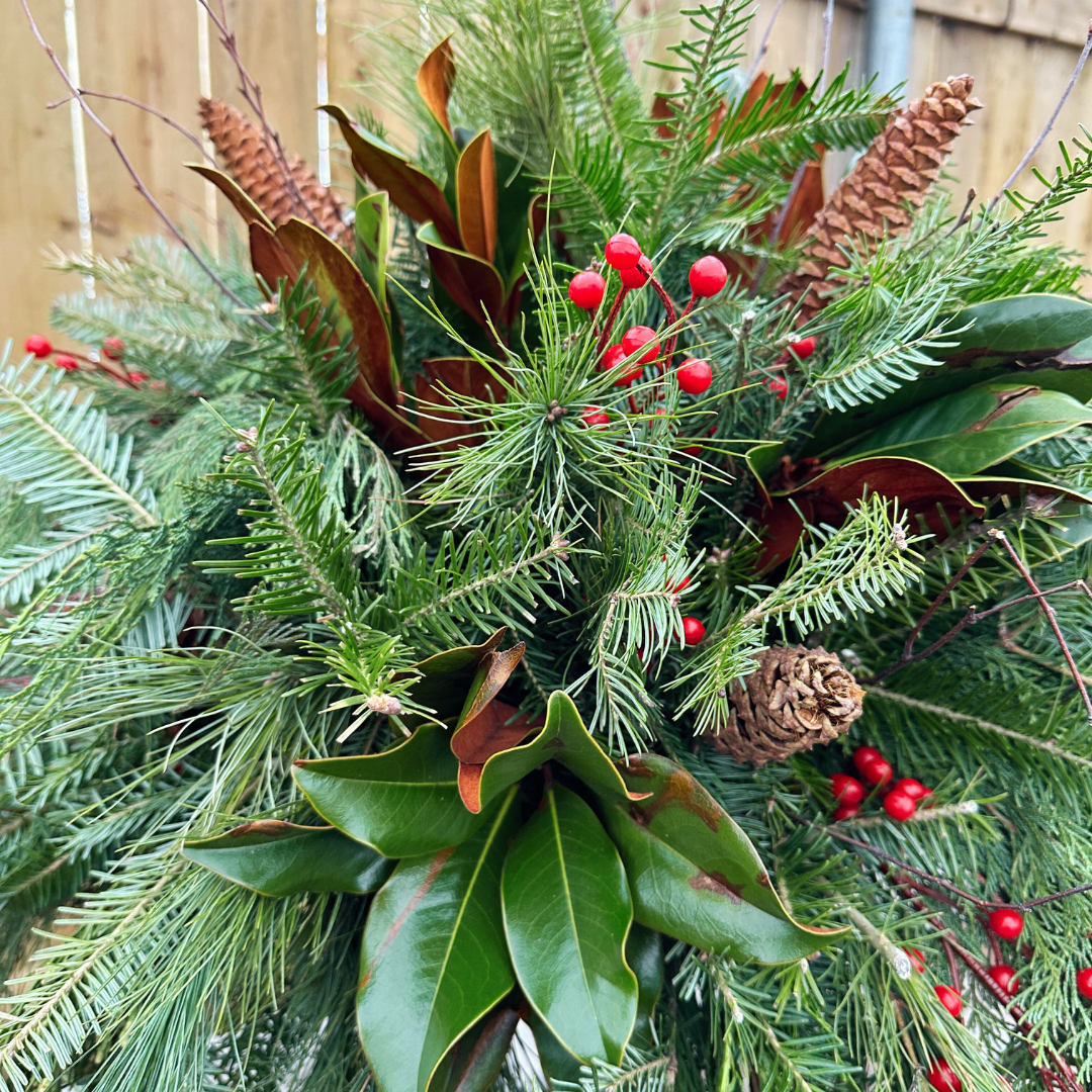 RED // Holiday Hanging Basket Drop-In