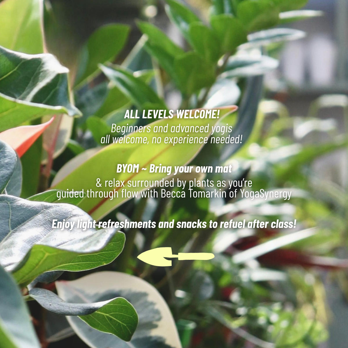 Yoga In The Greenhouse