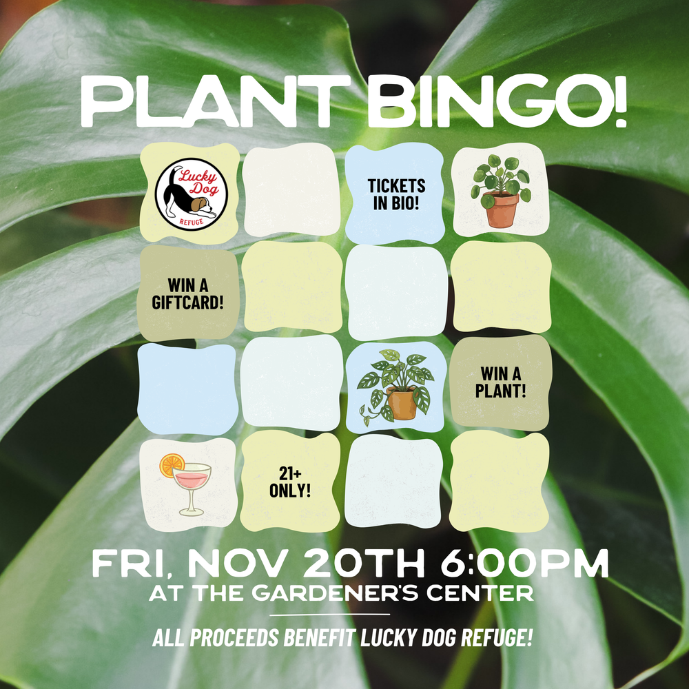 Plant Bingo!