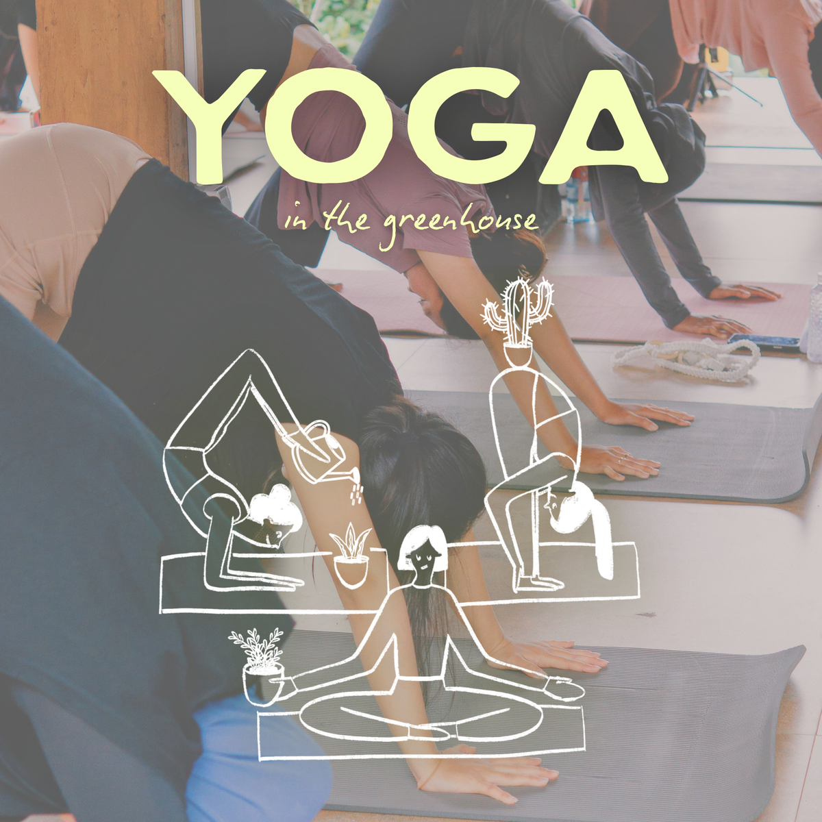 Yoga In The Greenhouse