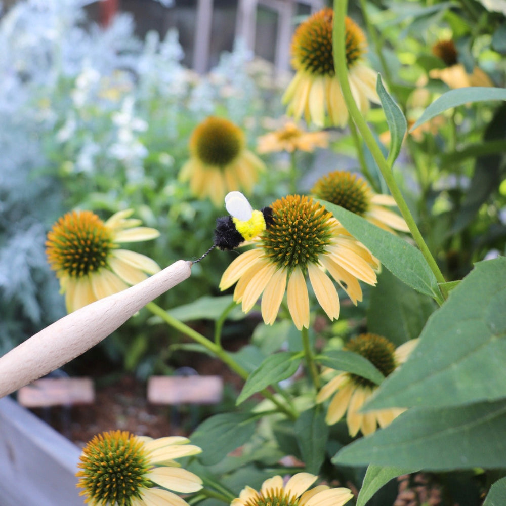Discovery Day: Pollination Power