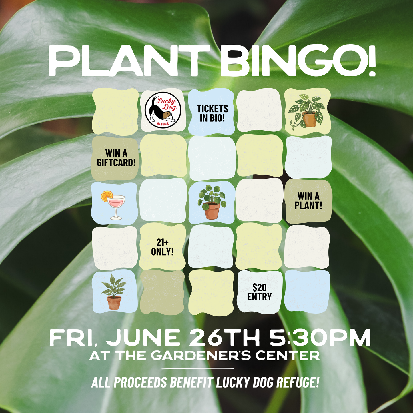 Plant Bingo!