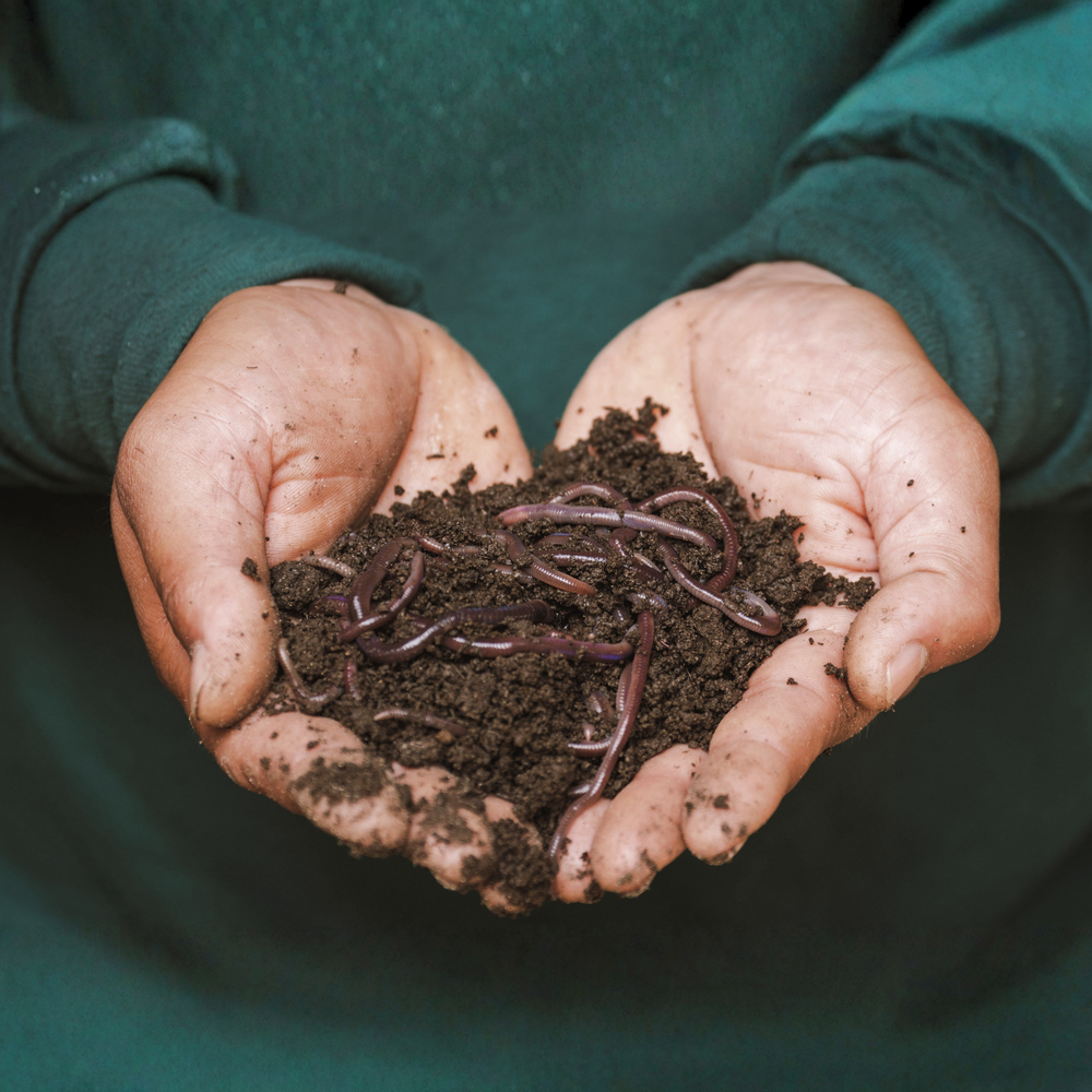 Worm Composting Seminar