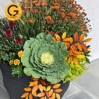 Seasonal Planter Service