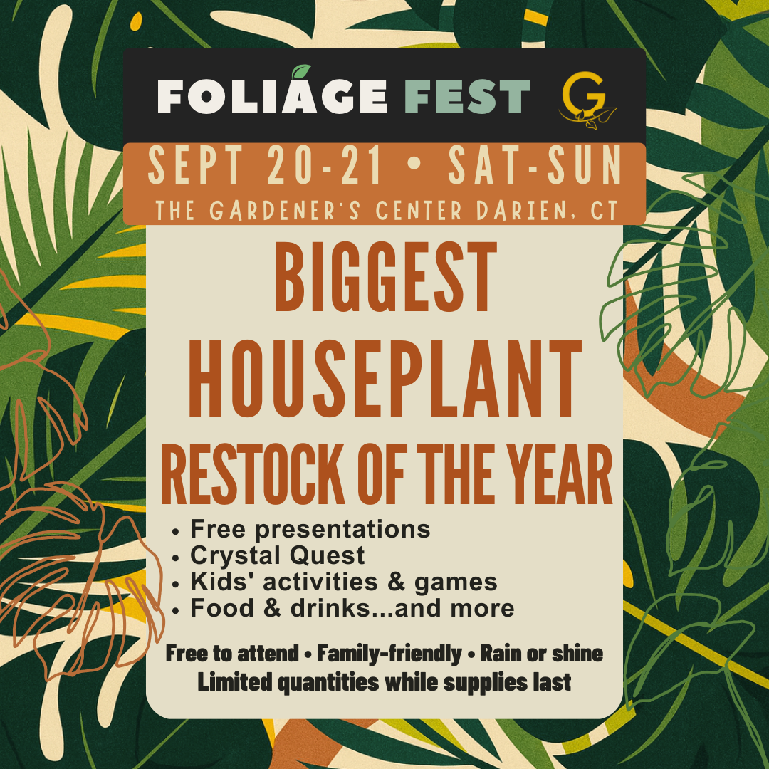 FREE EVENT // Foliage Fest, September 20-21