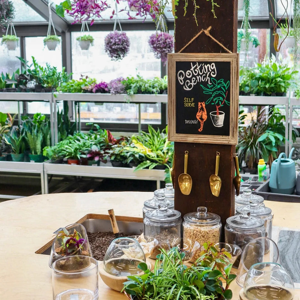Re-Potting Workshop