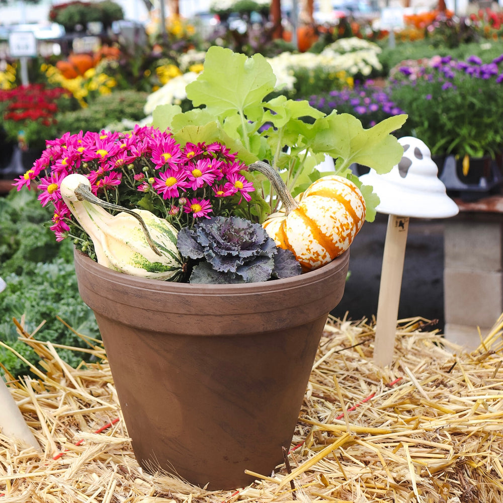 Fall Planter Workshop
