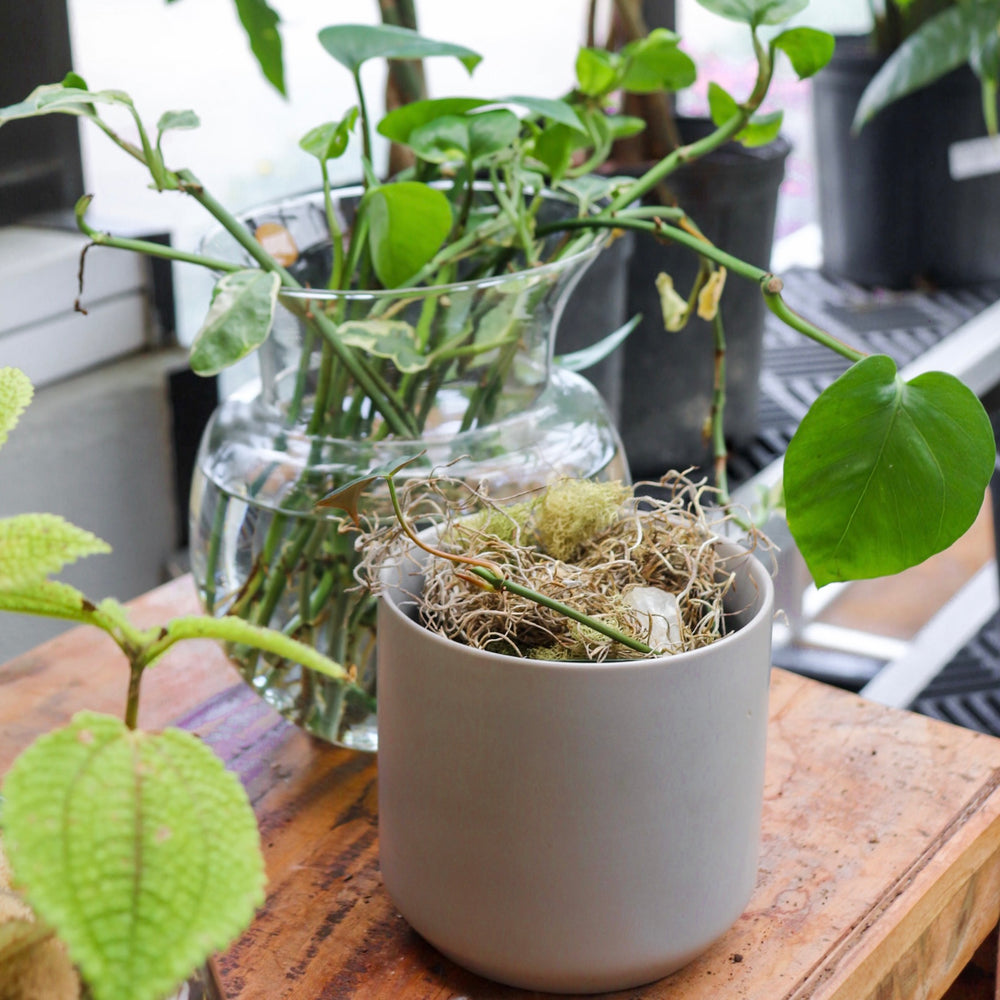 Propagation Bar