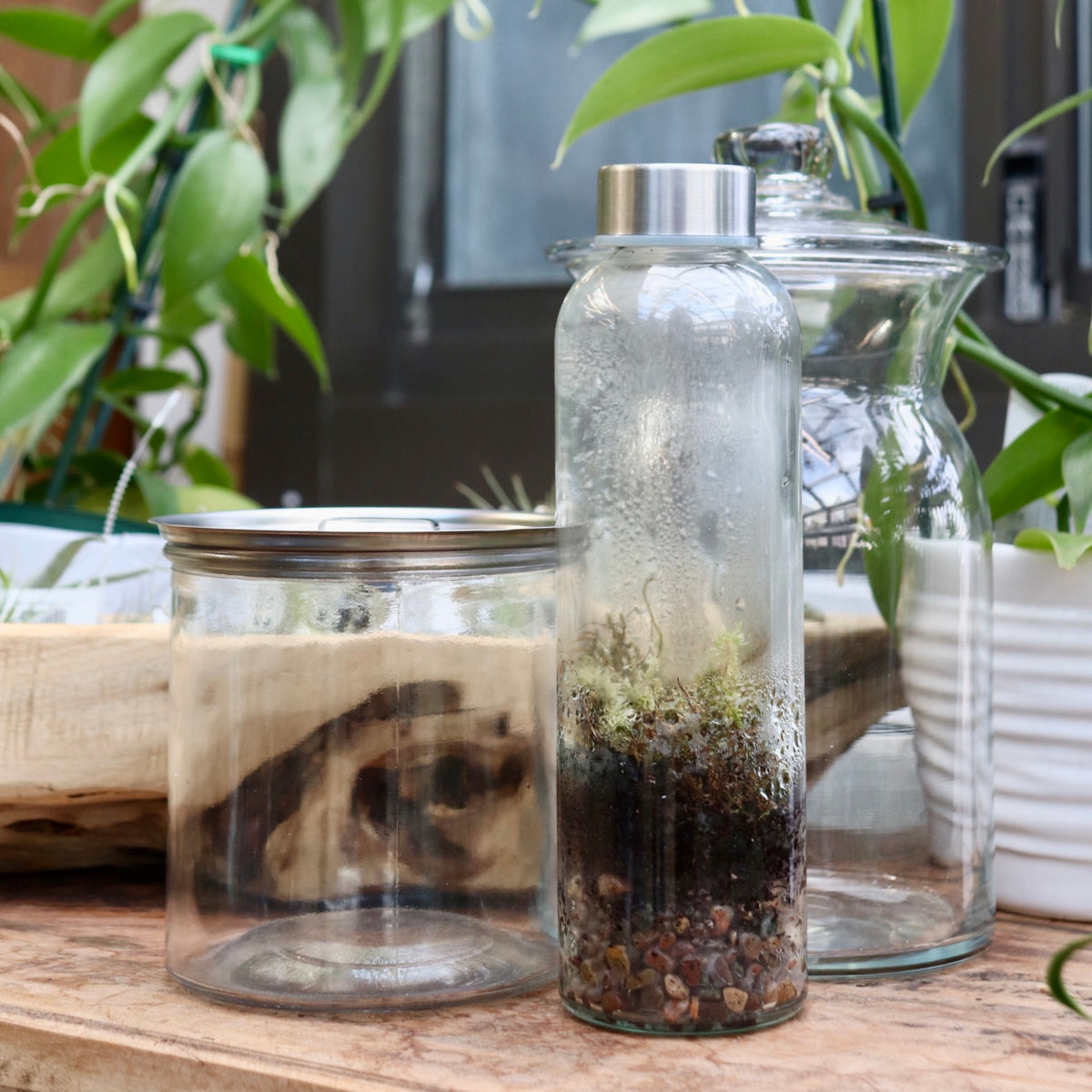 Terrarium Workshop BYOC (Bring Your Own Container)