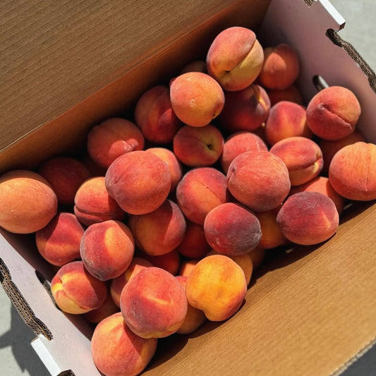 Pre-Order Southern Peaches  // EARLY JULY PICK UP