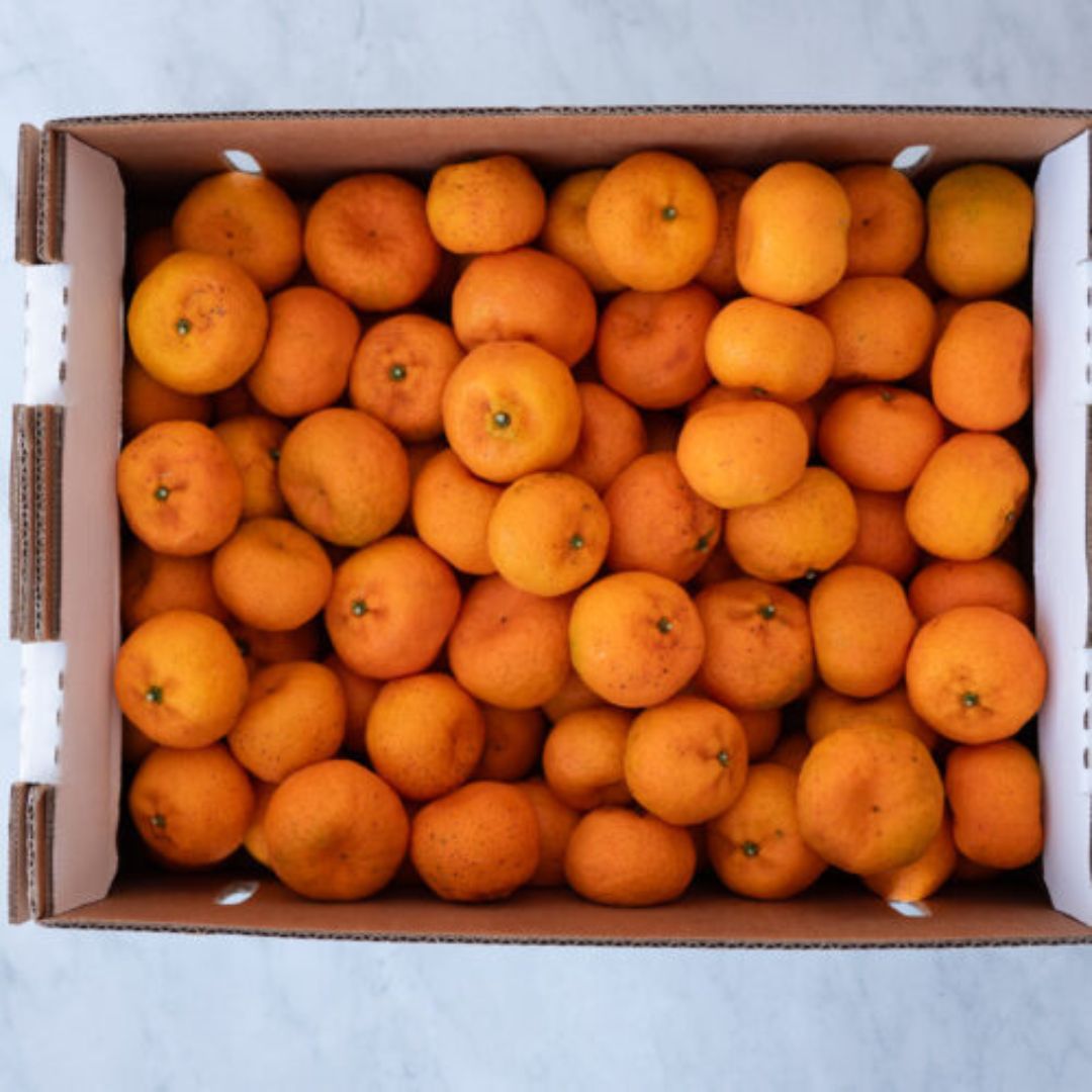 Kishu Mandarins