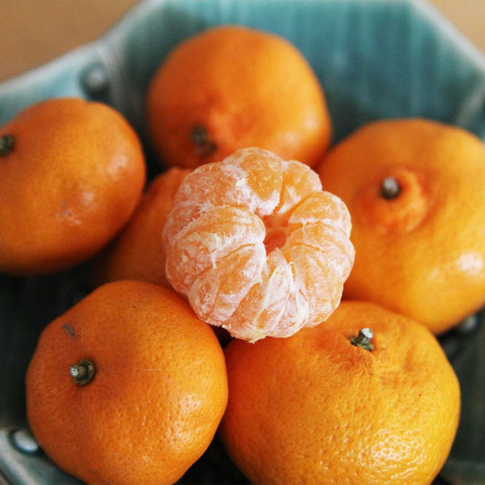 Kishu Mandarins