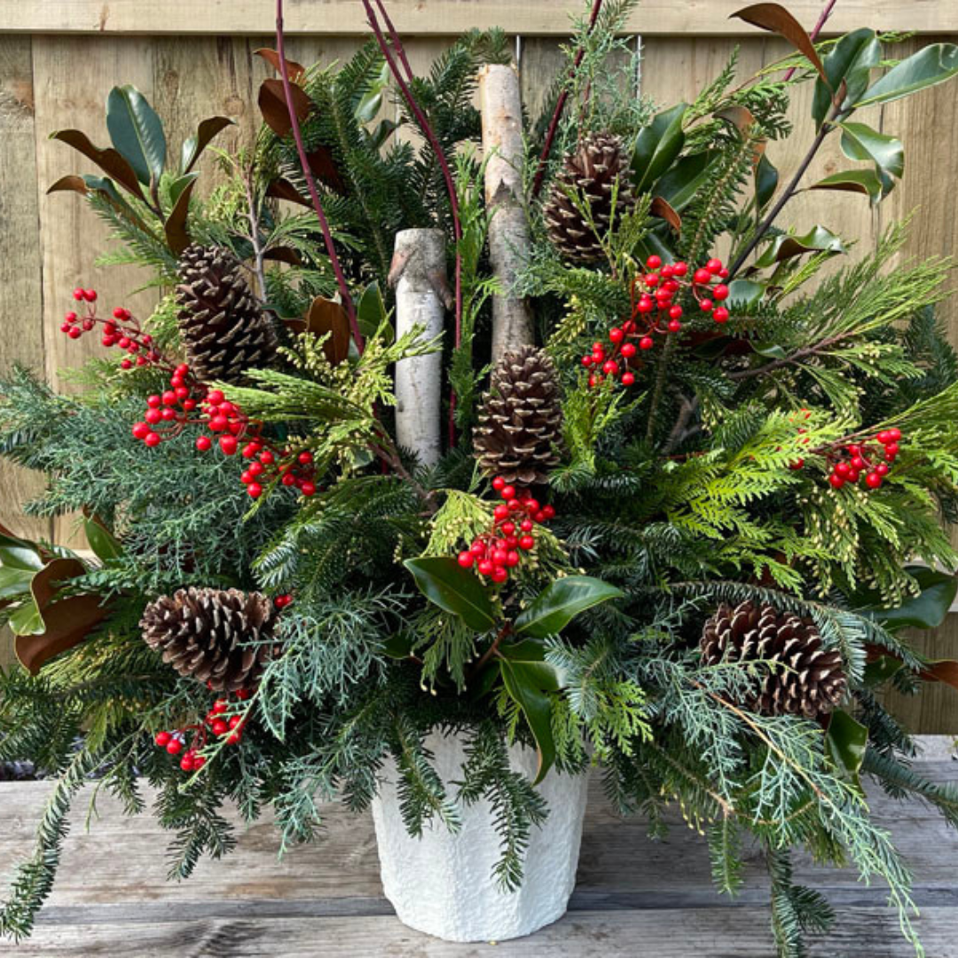 LARGE // Evergreen Porch Pot Drop-In