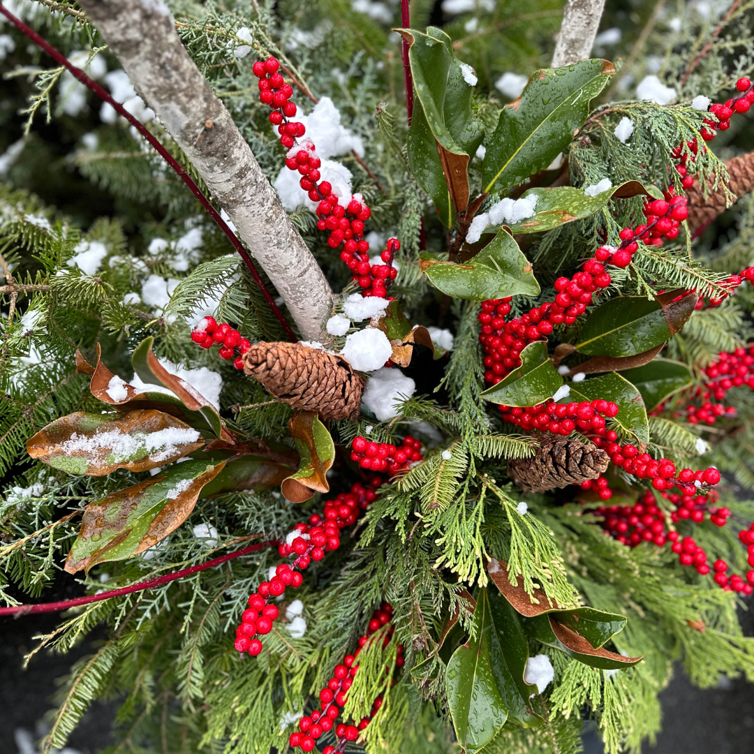 LARGE // Evergreen Porch Pot Drop-In