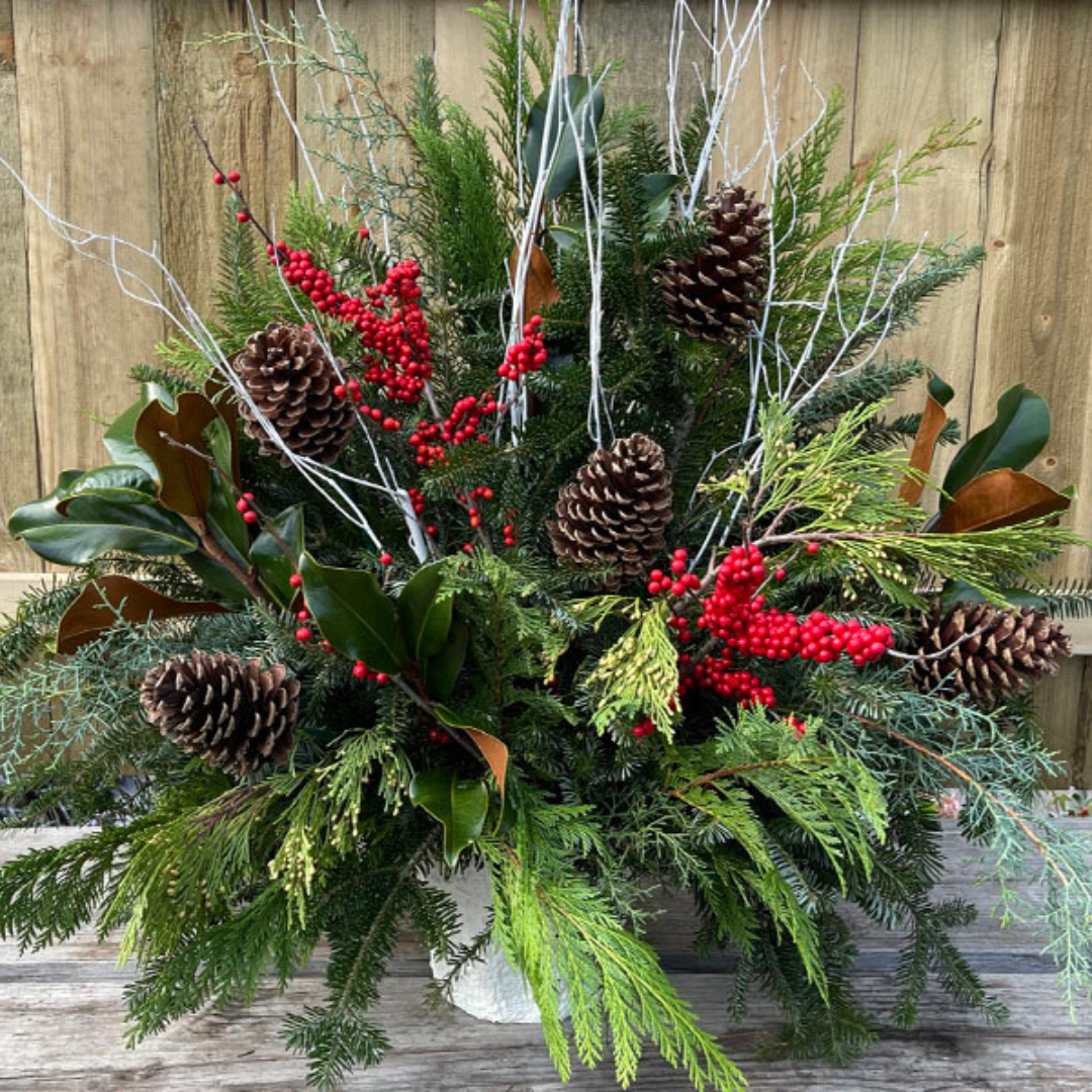 MEDIUM // Evergreen Porch Pot Drop-In