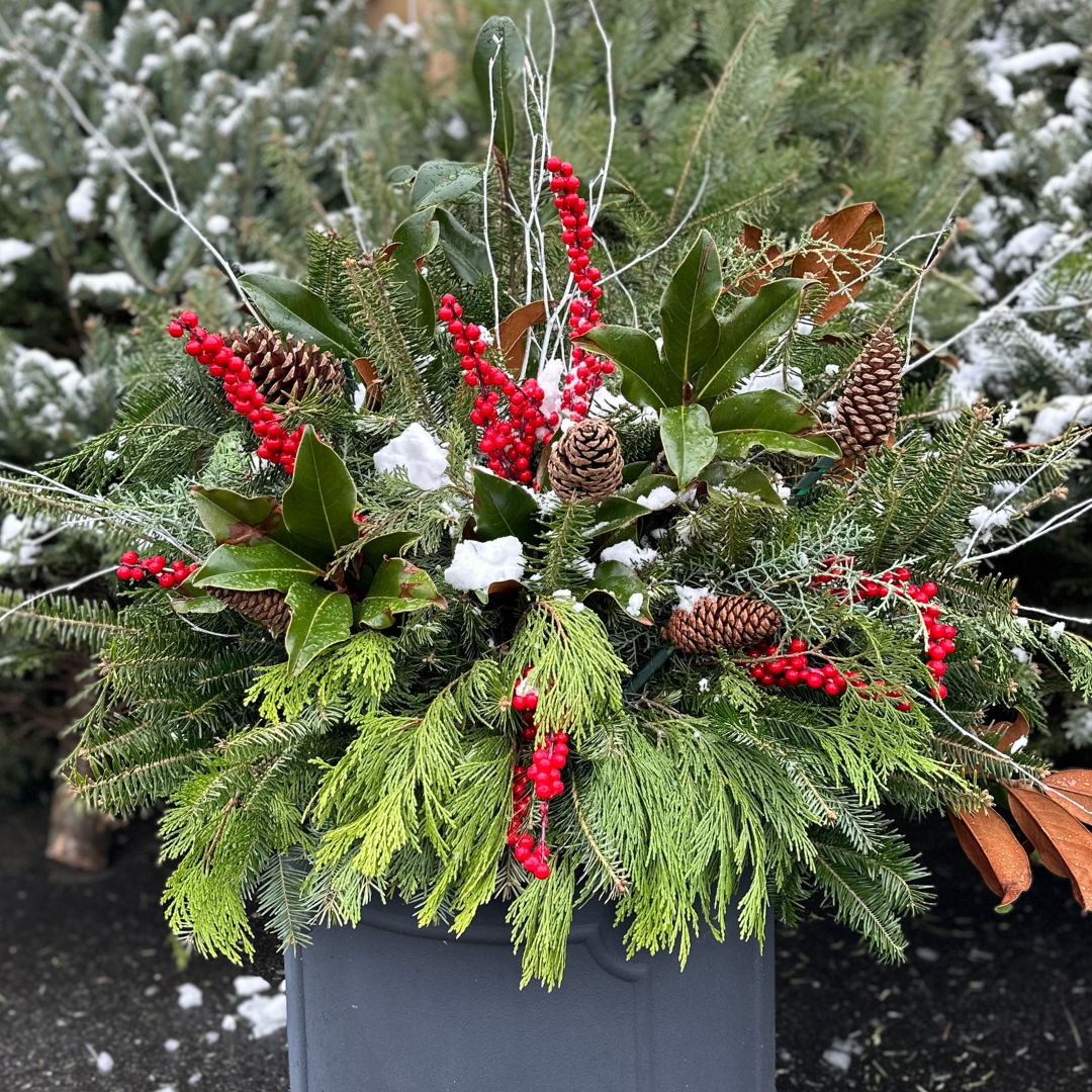 MEDIUM // Evergreen Porch Pot Drop-In