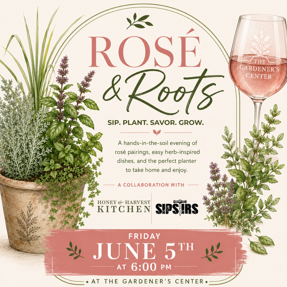 Rosé & Roots