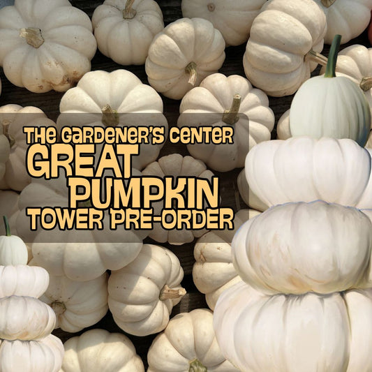 Fall Pumpkin Tower // All White