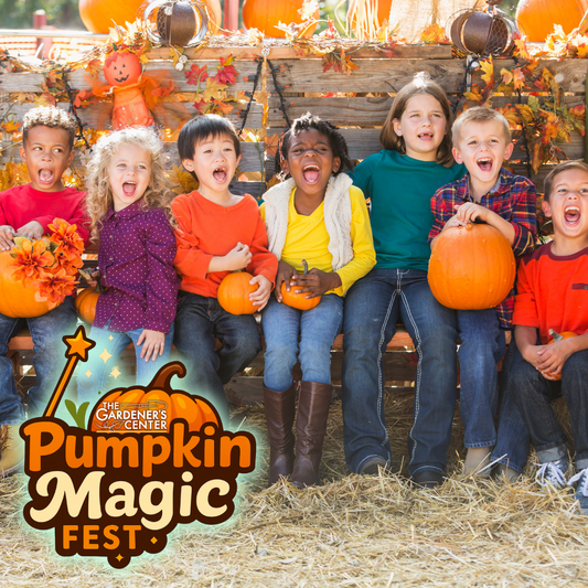 Pumpkin Magic Fest // Sat, Oct 11th