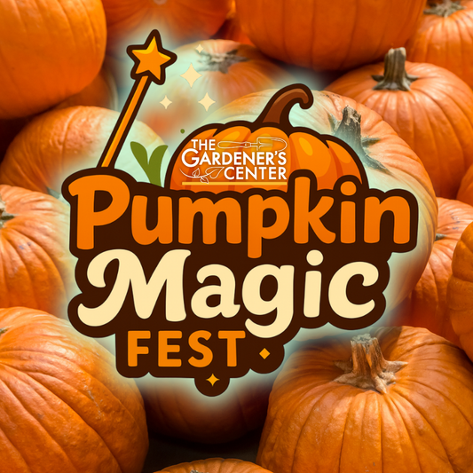 Pumpkin Magic Fest // Sun, Oct 12th