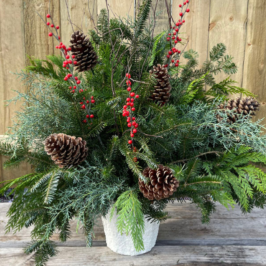 SMALL // Evergreen Porch Pot Drop-In